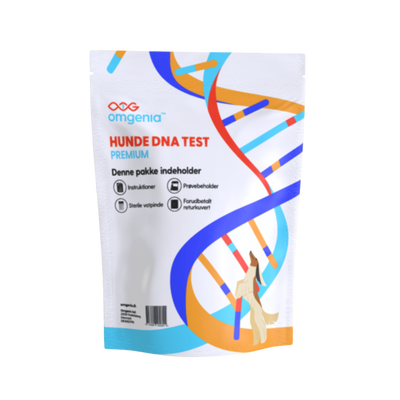 Hunde DNA Test - PREMIUM