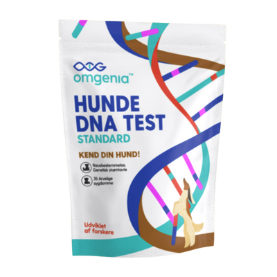 DNA-test för hund - STANDARD