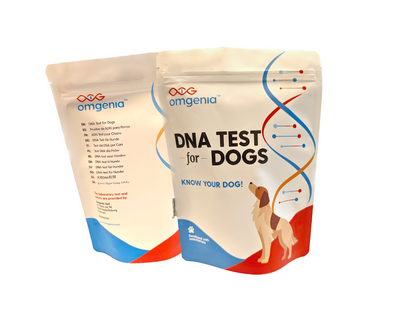Dog DNA Test - Premium
